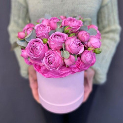 7 розовых кустовых пионовидных роз в шляпной коробке